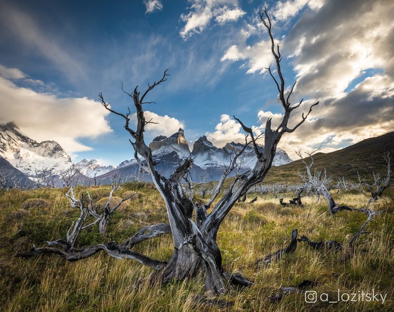Patagonia фото превью