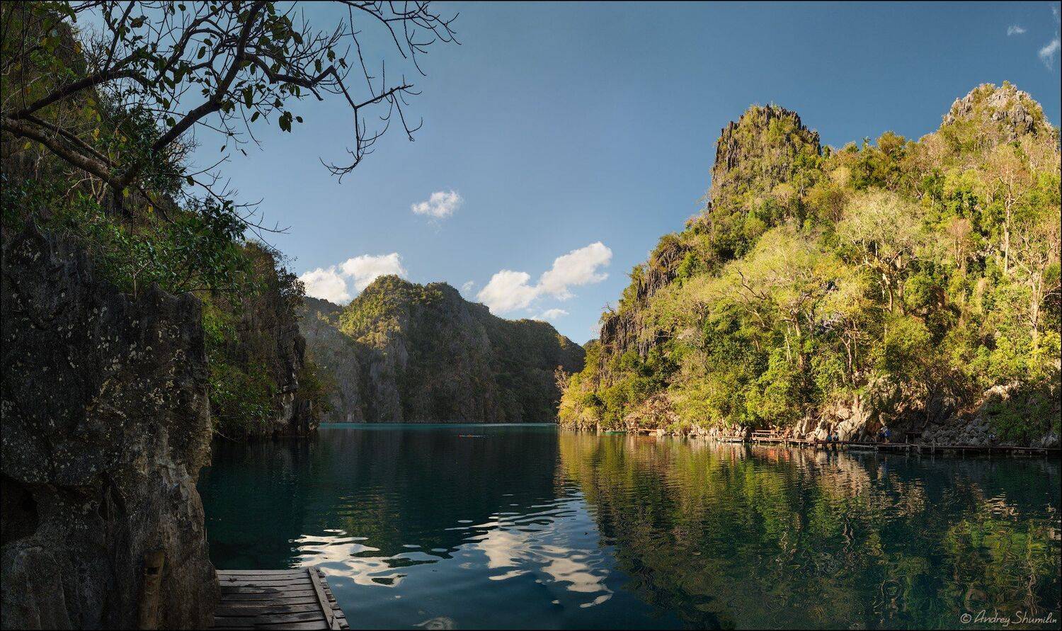, Андрей Шумилин