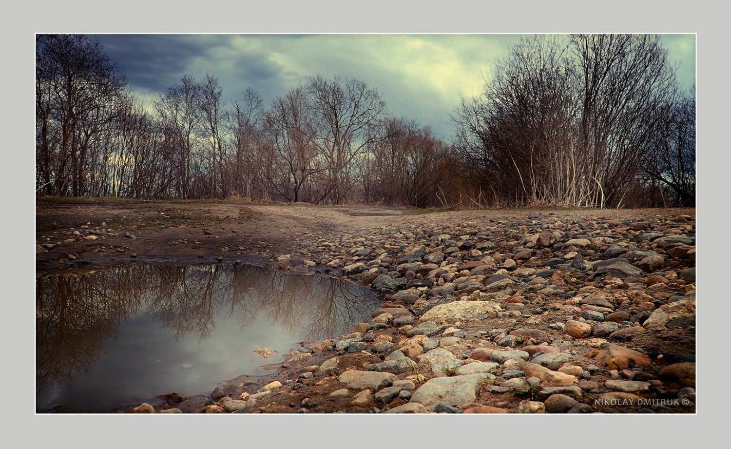 пейзаж, николай дмитрук