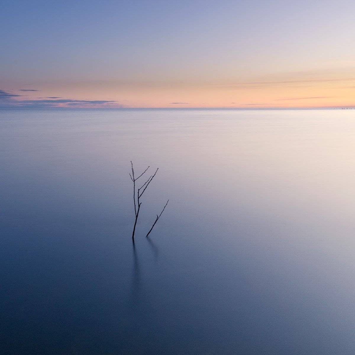 , Федотов Антон