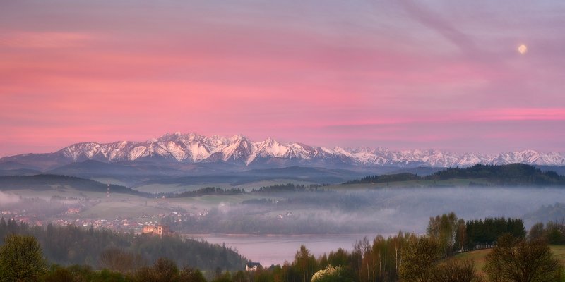 Pink morning фото превью