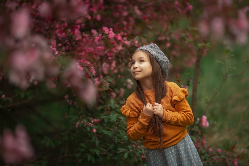 Яблоня фото превью