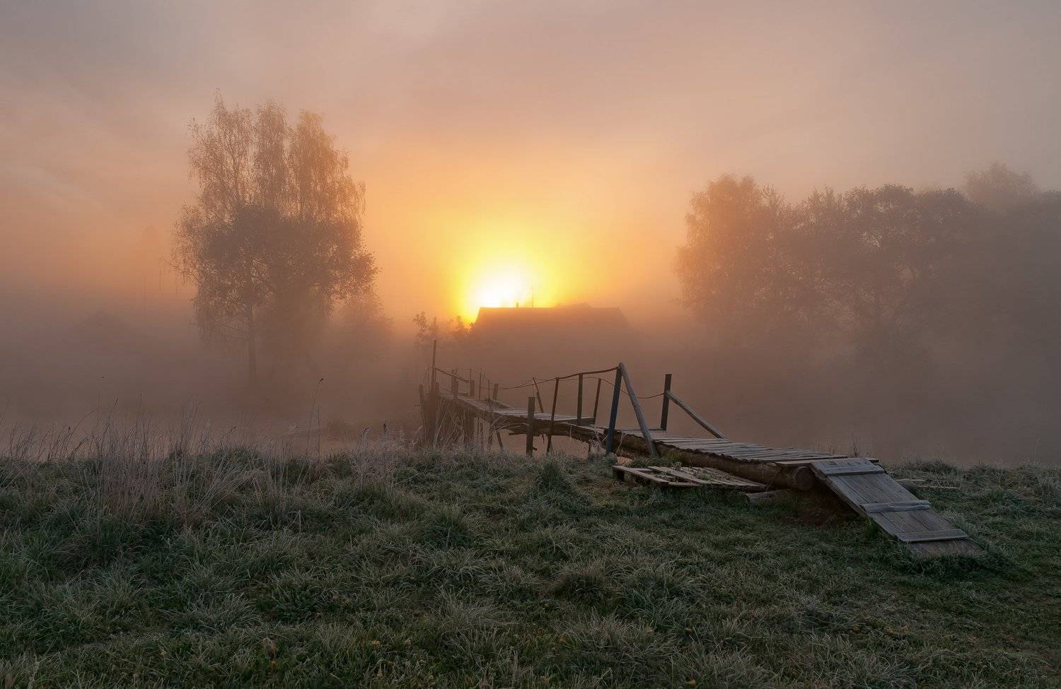 утро, свислочь, туман, мостик, Александр Гвоздь