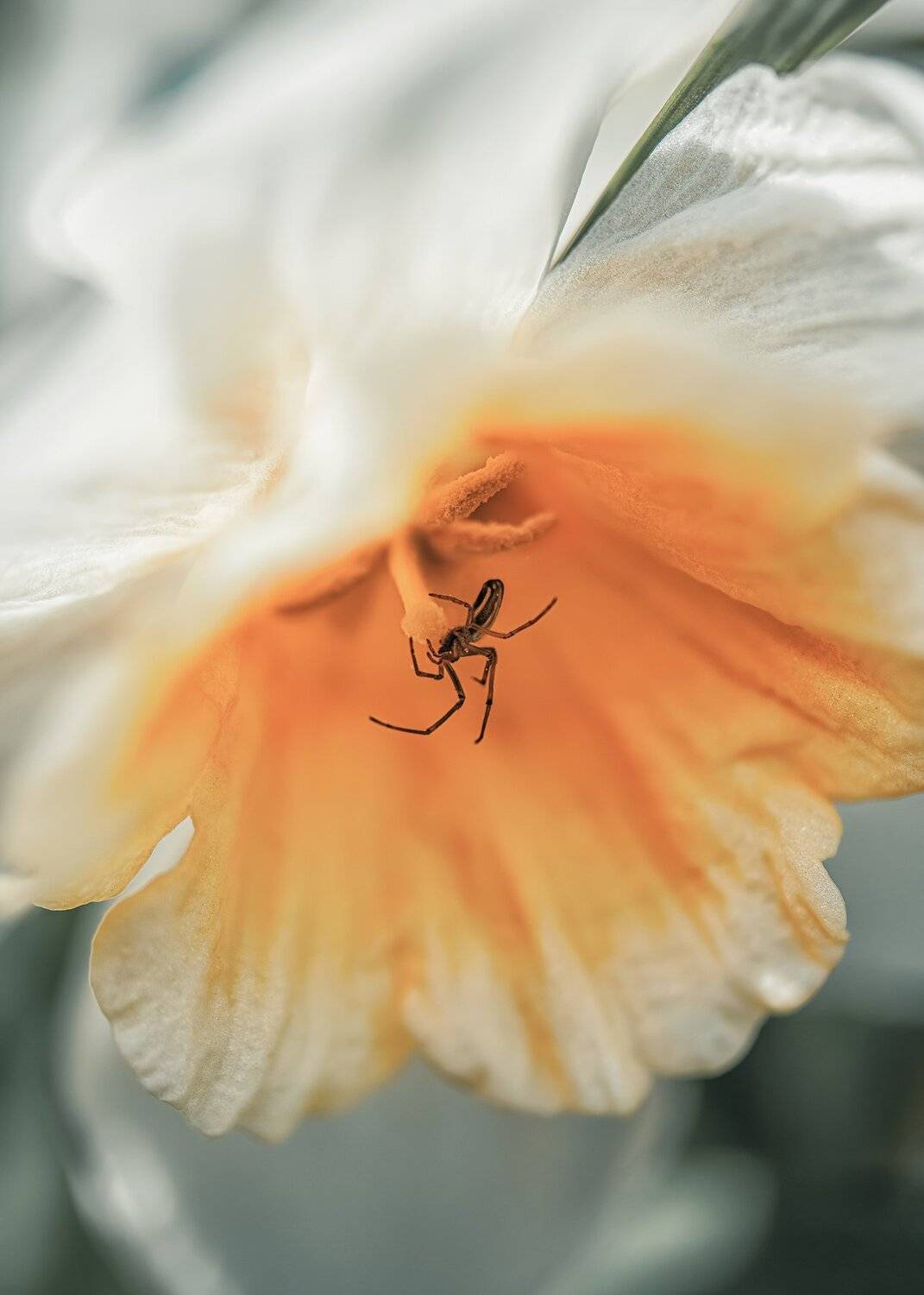 , Анастасия Третьякова