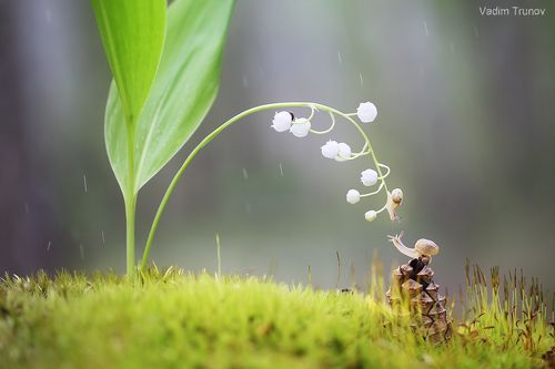 Притяжение