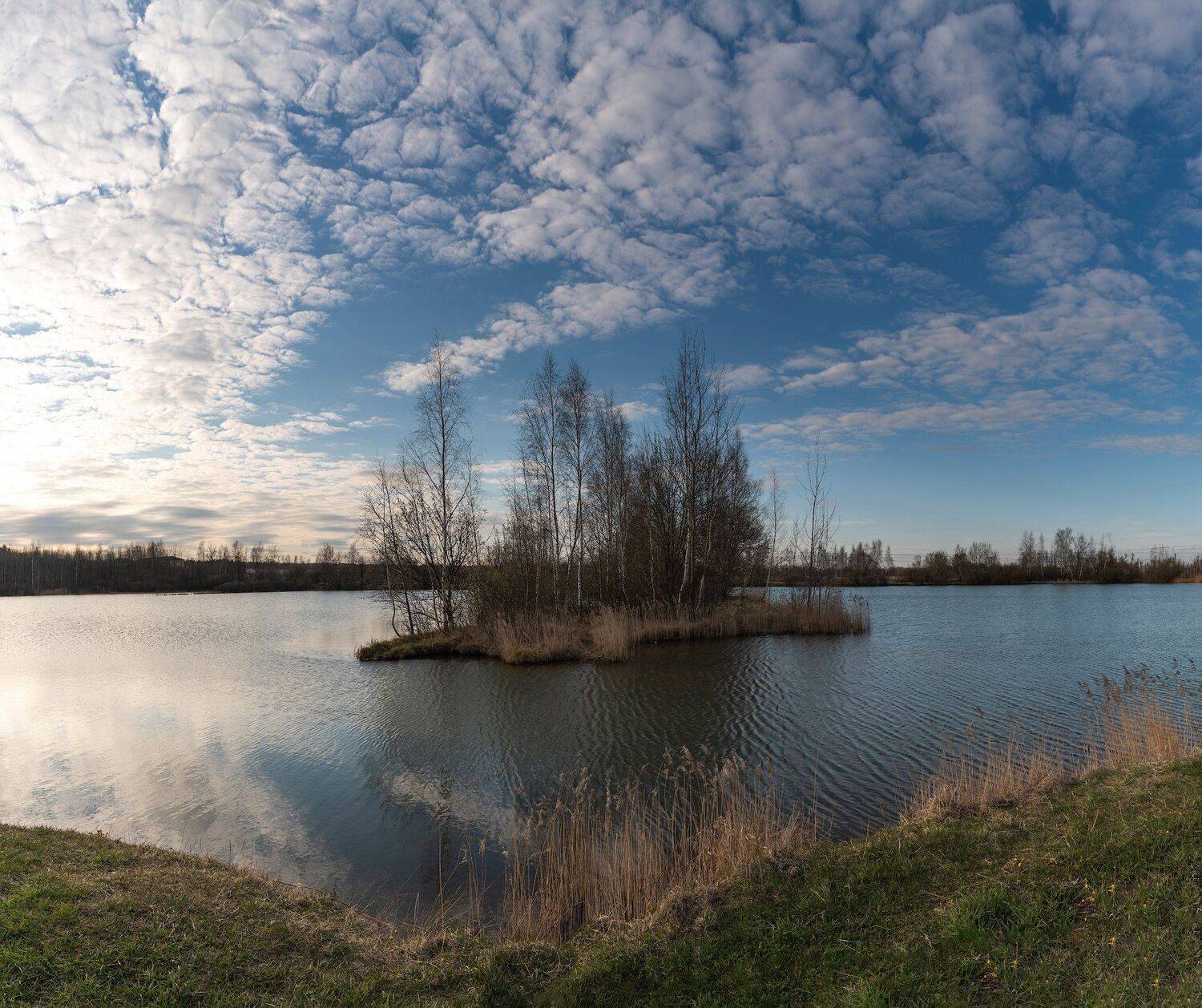 , Константин Дэм