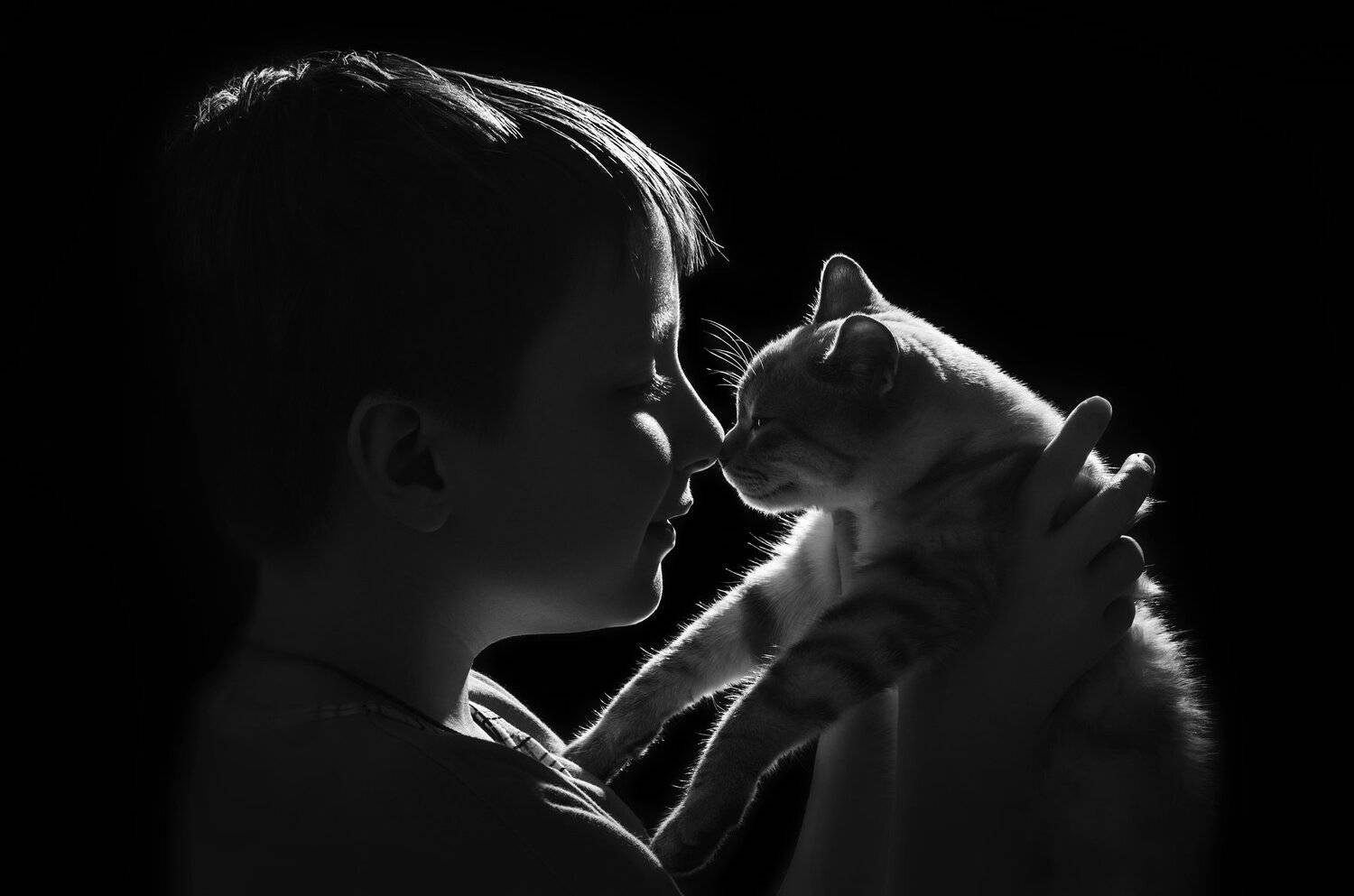 котёнок,ребёнок,дружба,дети,чёрно-белый,контур, Владимир Володин
