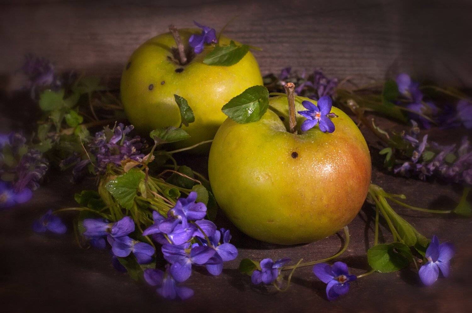 яблоки, цветы, ароматные, свежие, фрукты, Владимир Володин