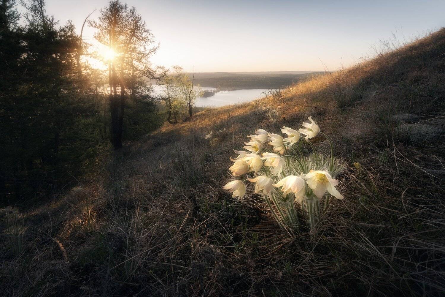 , Михаил Туркеев
