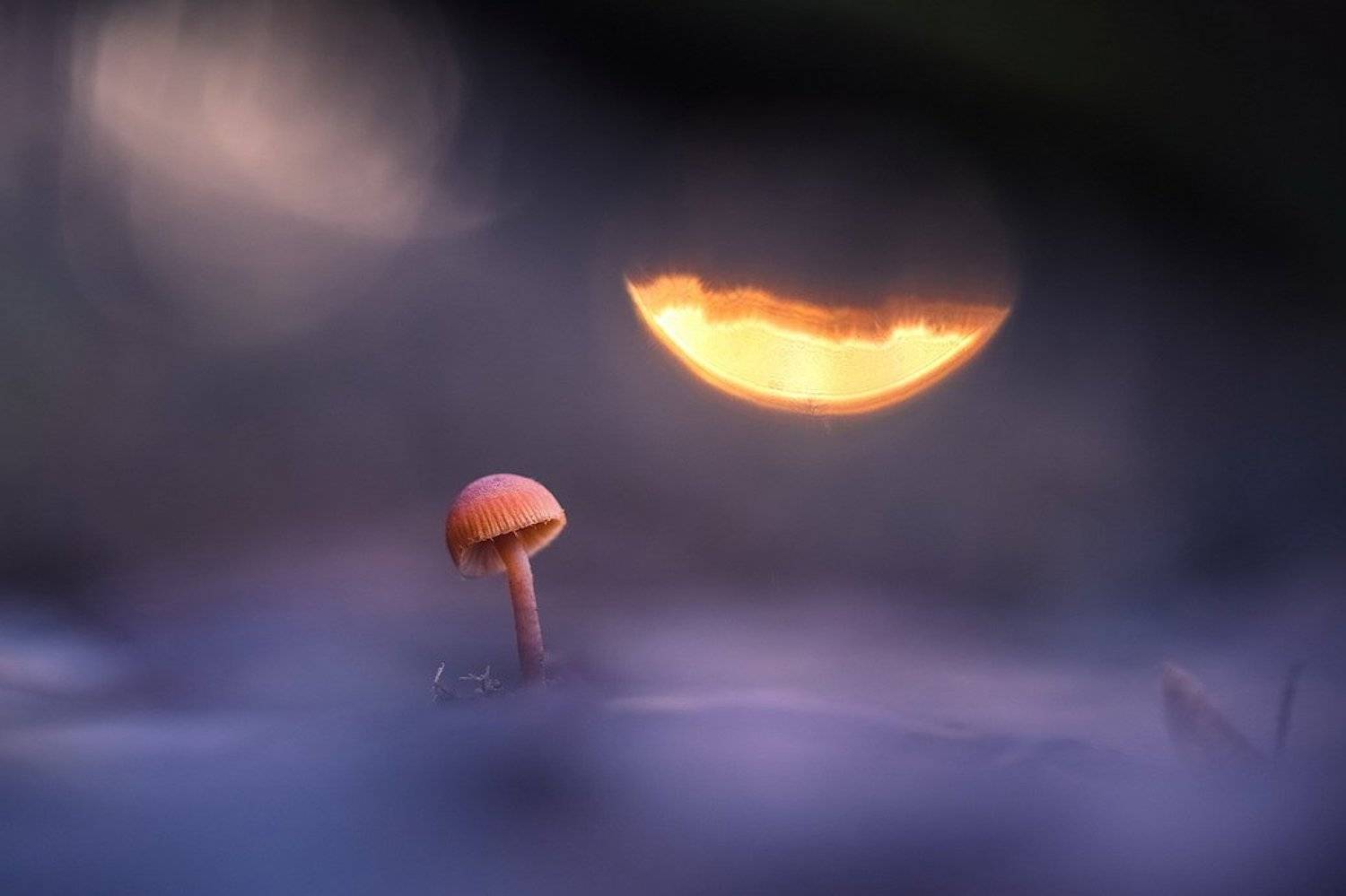 , Вячеслав Мищенко