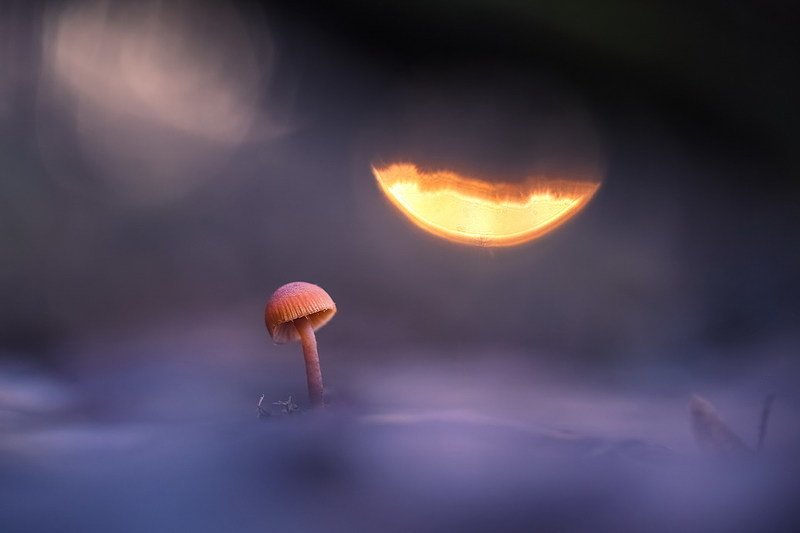 Луна — отражение глаз фото превью