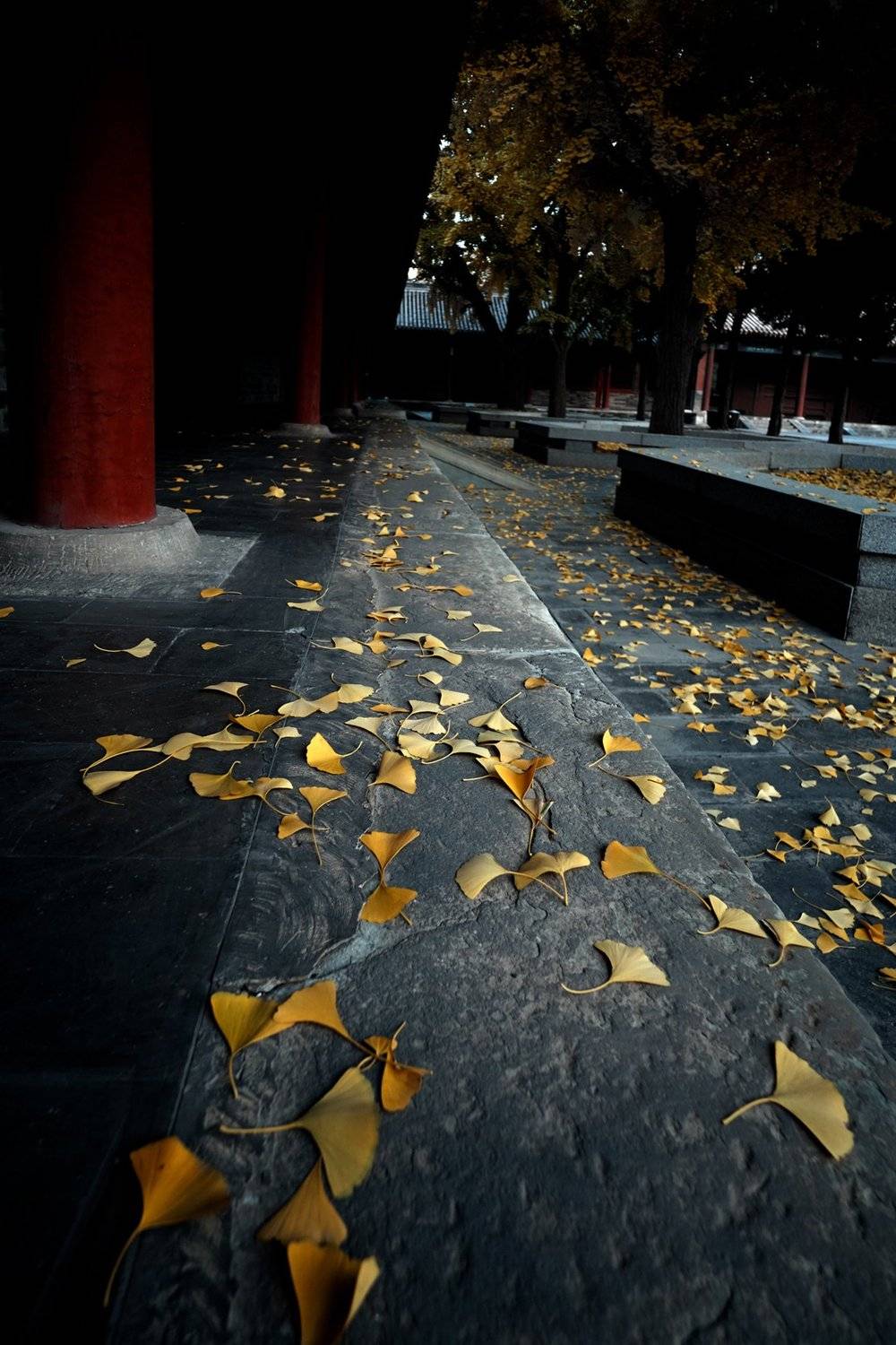 landscapes, zhang ike