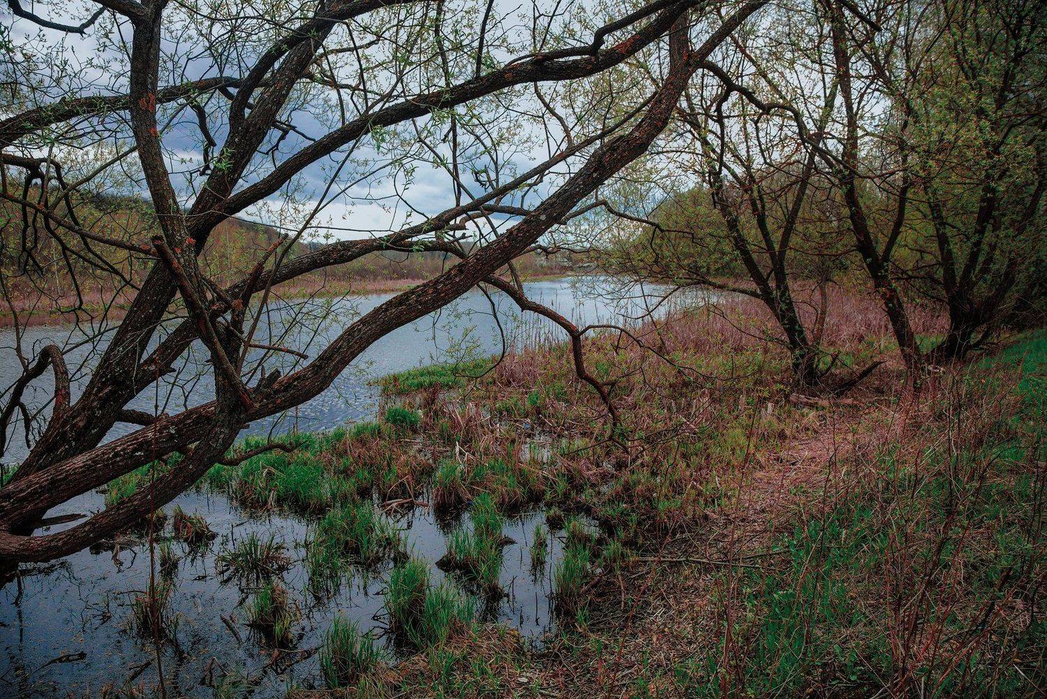 , Евгений Кузьмин