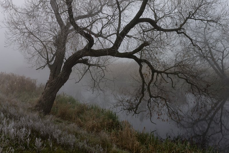 . . . фото превью