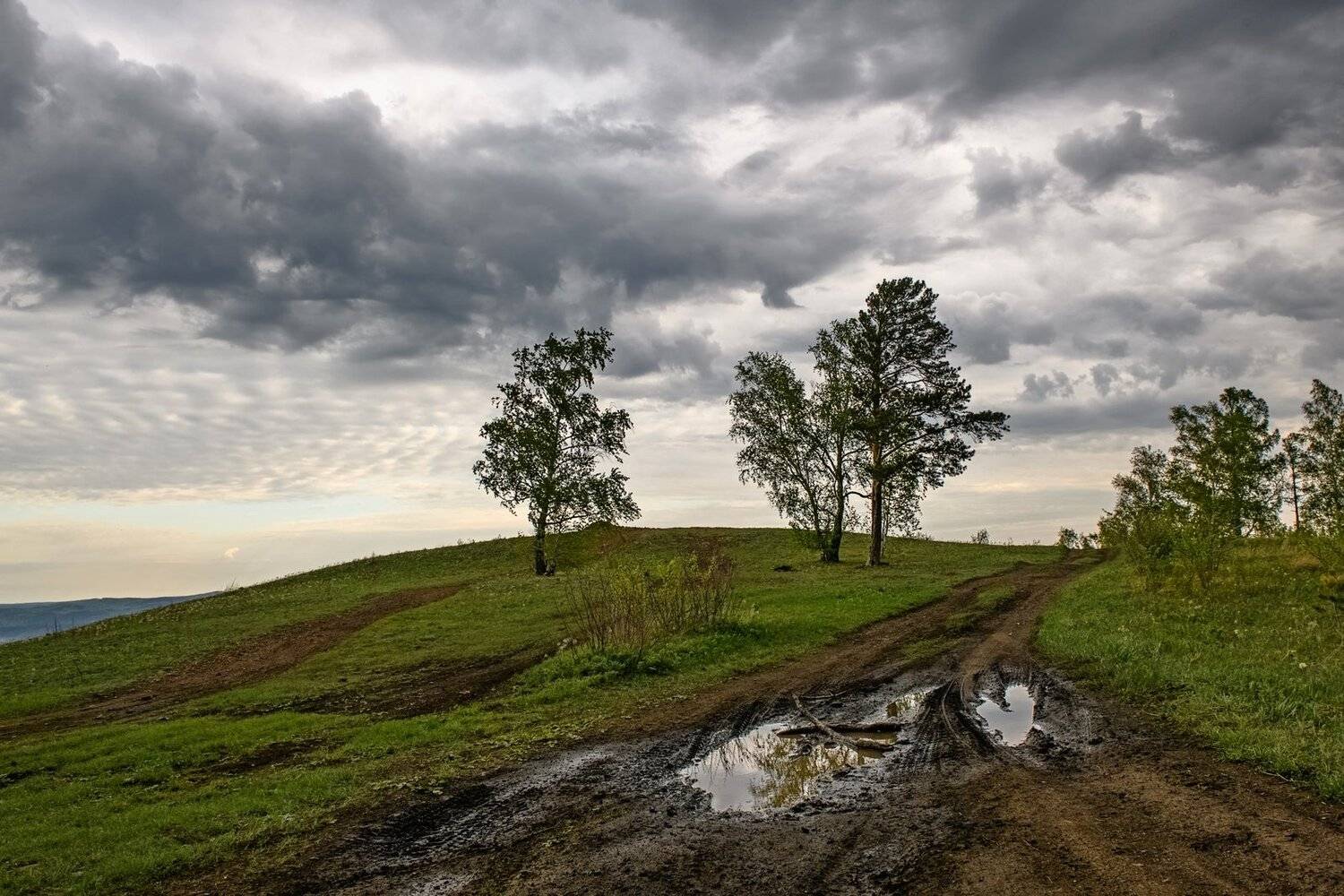 утро, торгашинский хребет., Марина Фомина