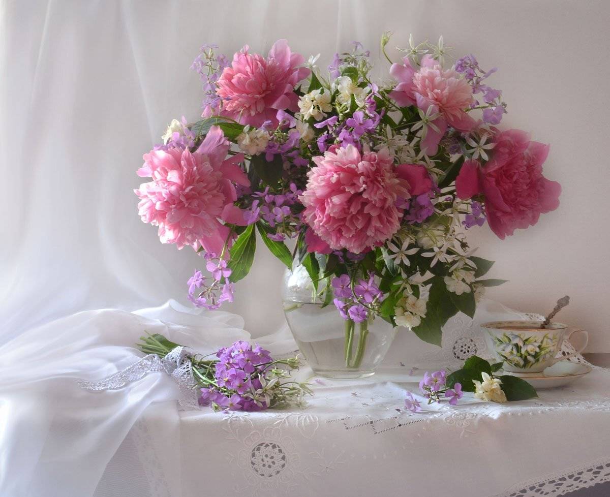 still life, натюрморт,цветы, лето, июль, пионы, фиалки, жасмин, фото натюрморт,настроение, Колова Валентина