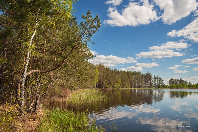 Май на р.Бобер.... фото превью