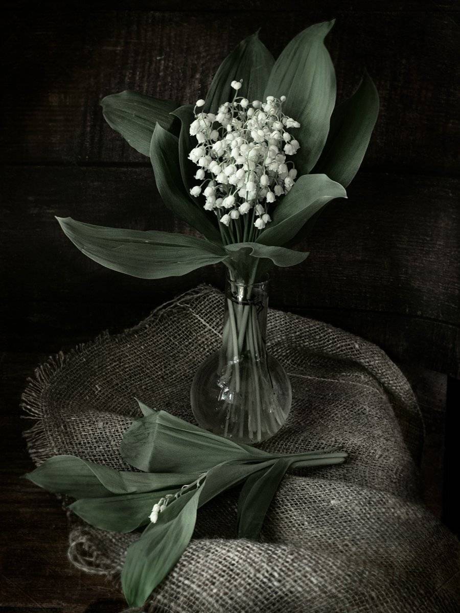 , Татьяна Аверина