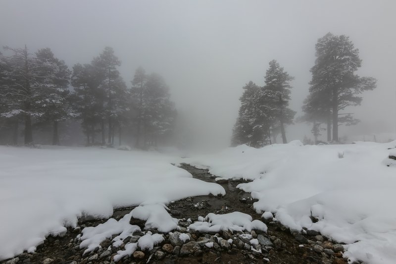 горы, эльбрус,кавказ,туман в белом тумане... фото превью