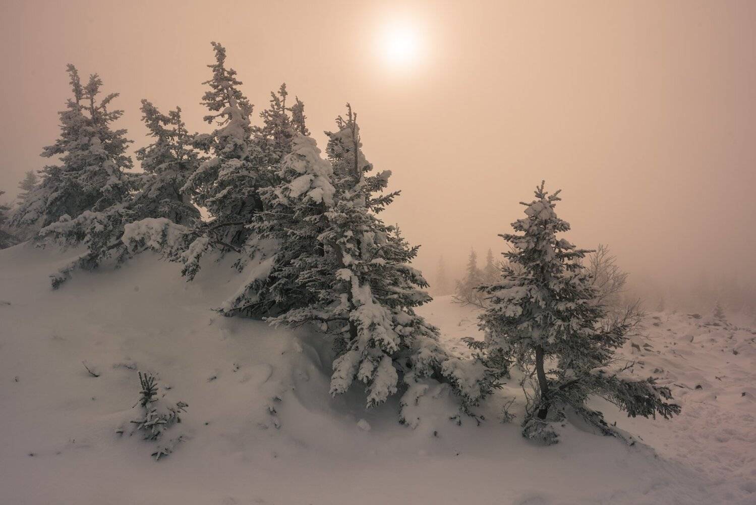 , Кутыгин Эдуард
