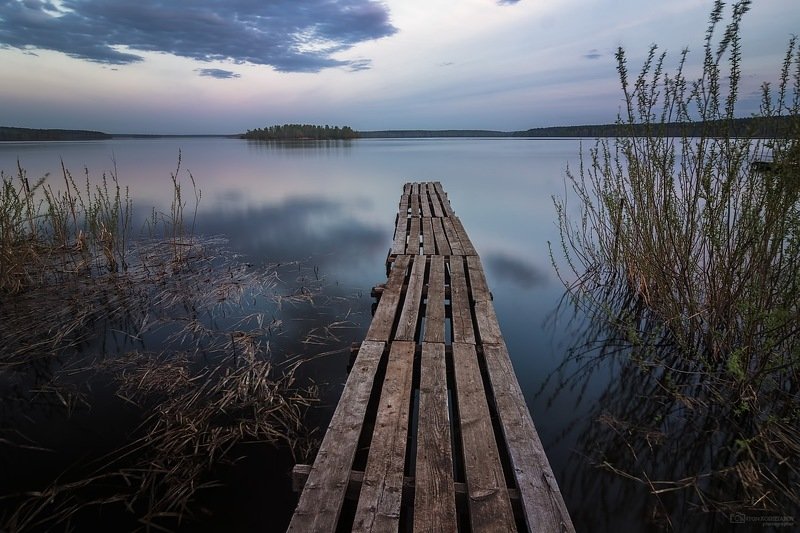 Заросший пирс фото превью