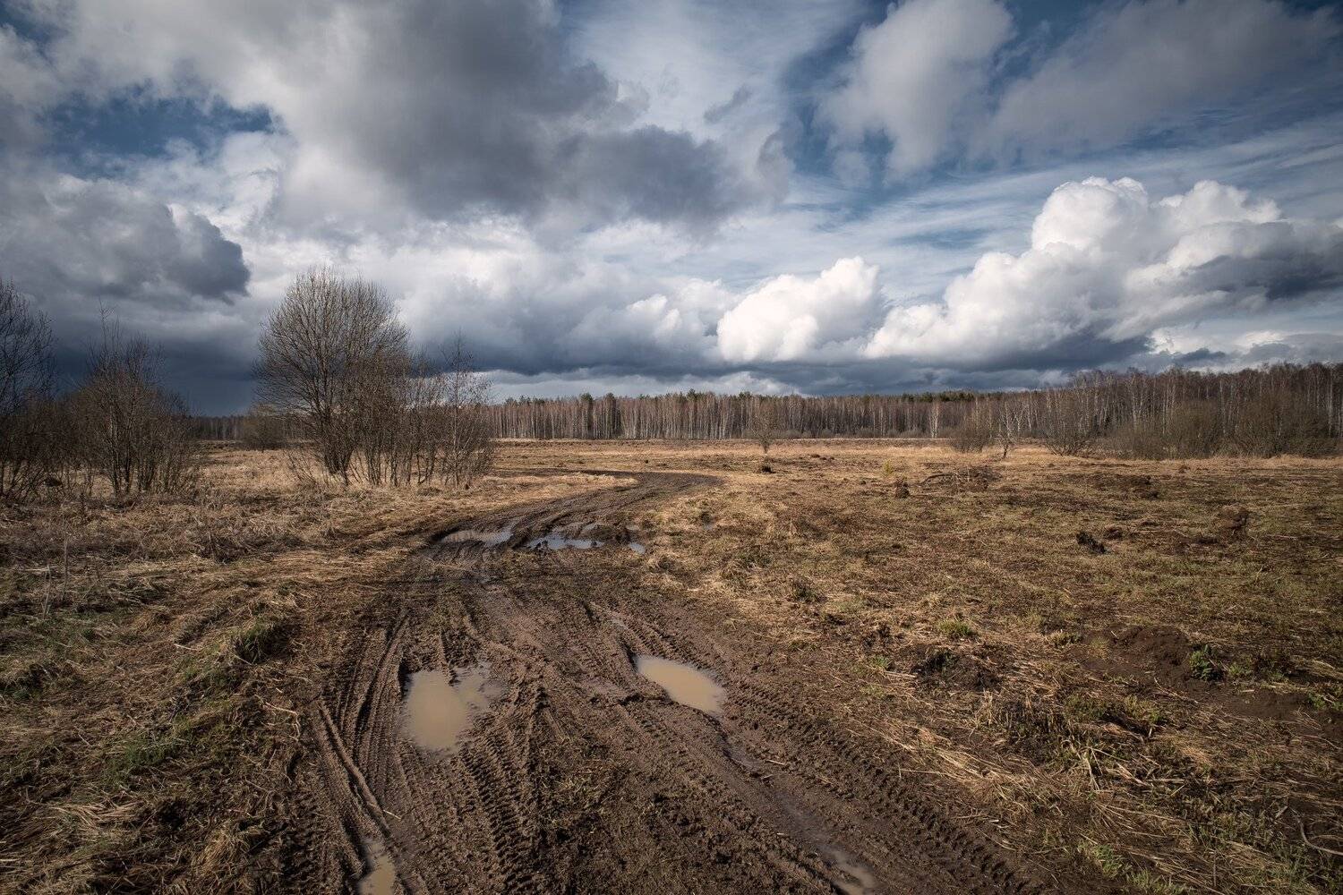, Виталий Полуэктов