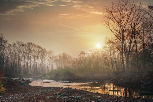 Туманный рассвет