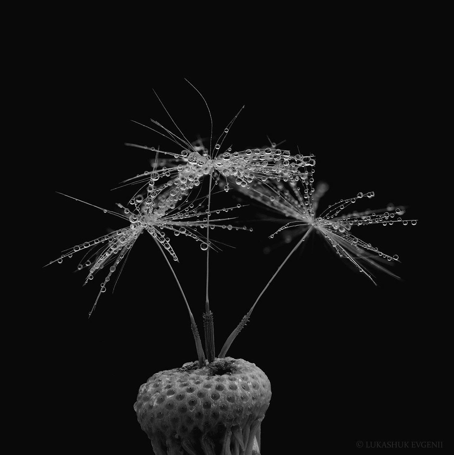 , Евгений Лукашук