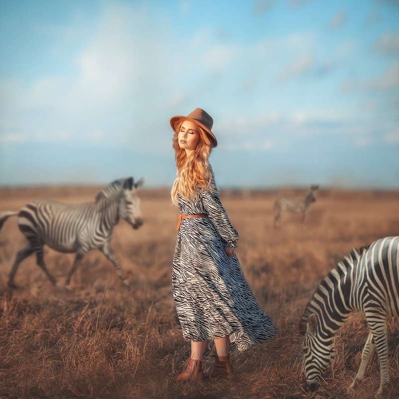 зебры, мечты, сказки Фантазии фото превью