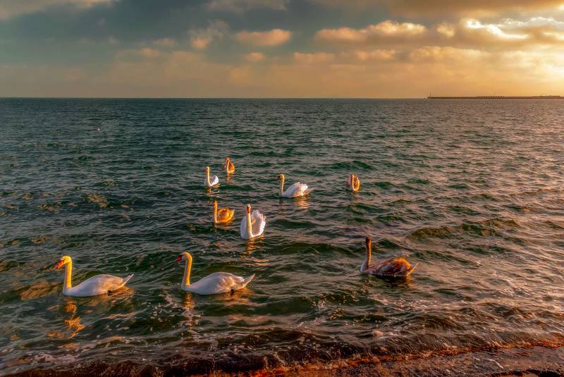 закат у моря фото превью