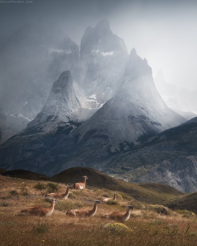 Patagonia