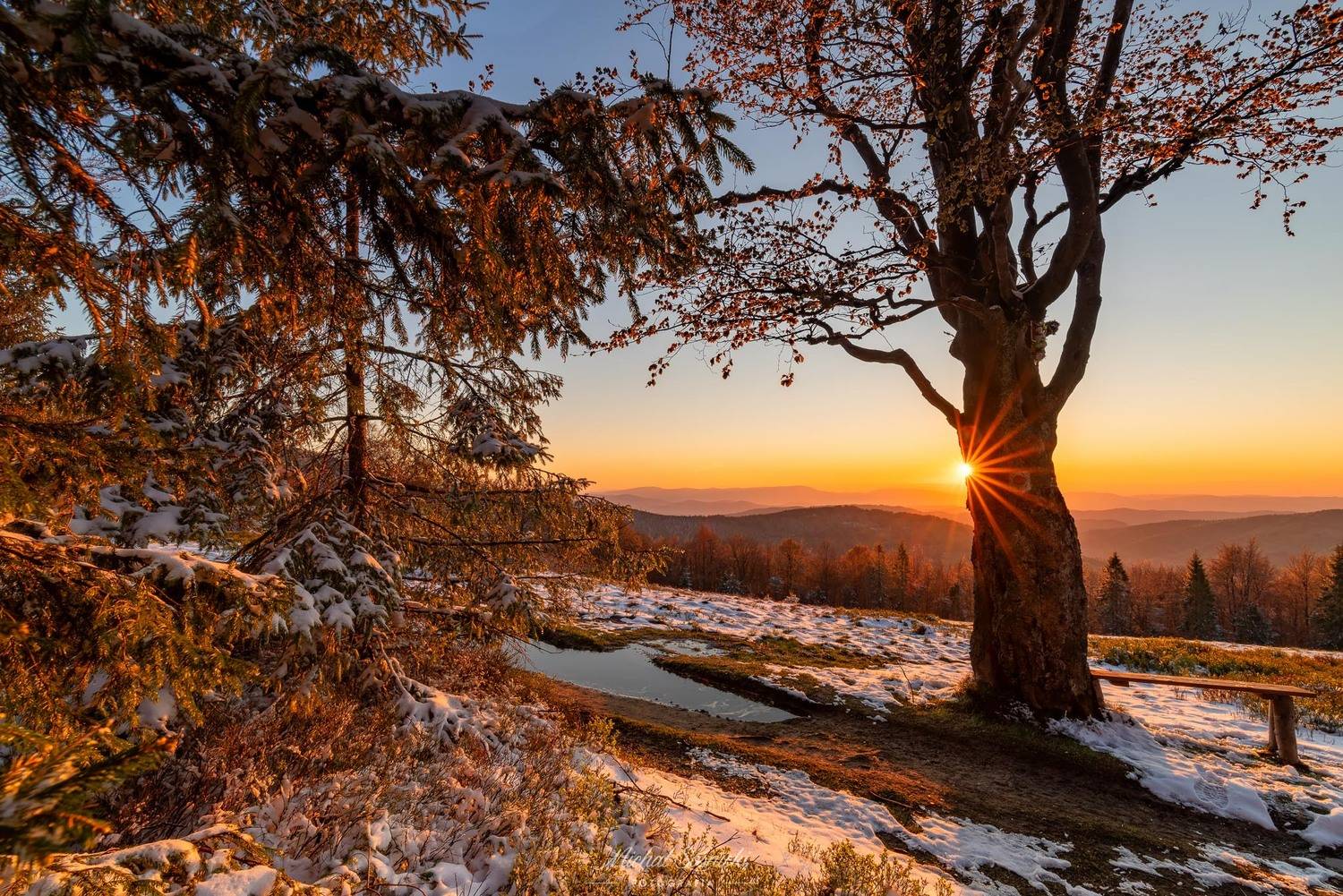 #sunset #mountains #tree #color #pentax #benro #nature #amazing, Michał Sośnicki
