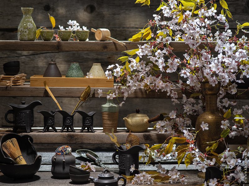 BLOOM фото превью