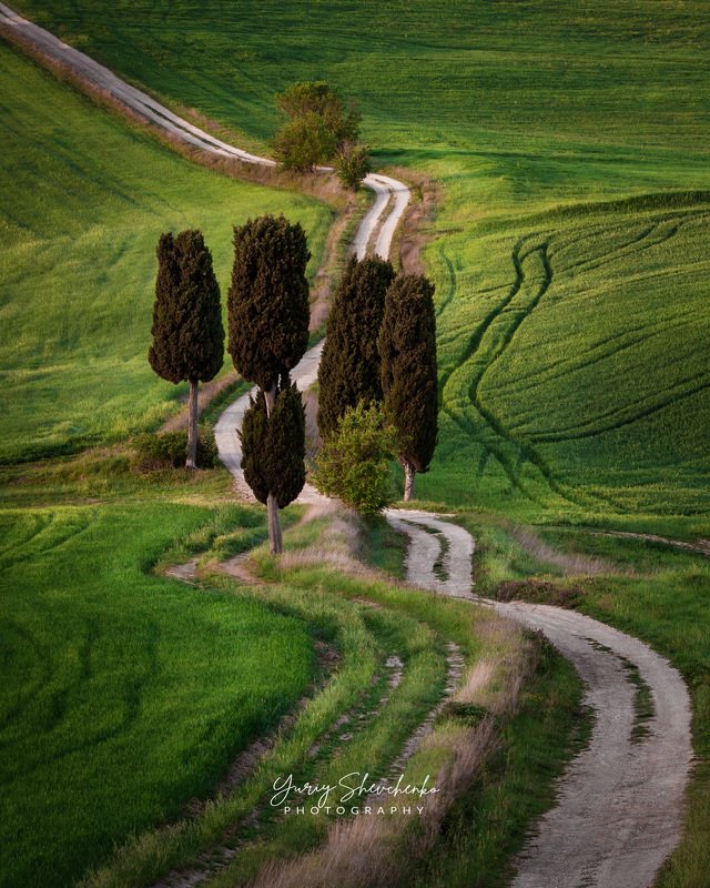 toscana, italia, италия, тоскана, toscana Maximus way. фото превью