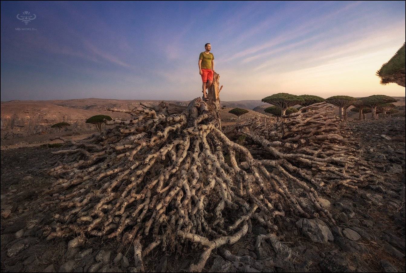 Йемен, Сокотра, фотопутешествие, Mikhail Vorobyev
