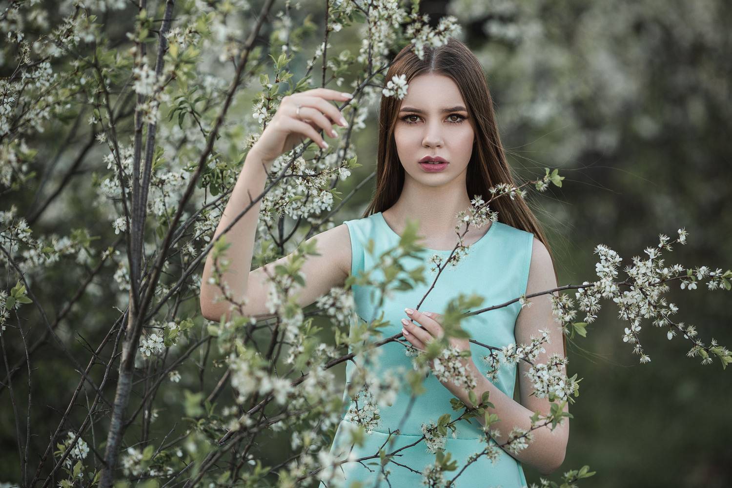 девушка, модель, портрет, фотосессия, природа, весна, день, ветер, солнце, цветущие сады, girl, model, portrait, photo, nature, day, spring, wind, sun, blossoming garden, Владимир Васильев
