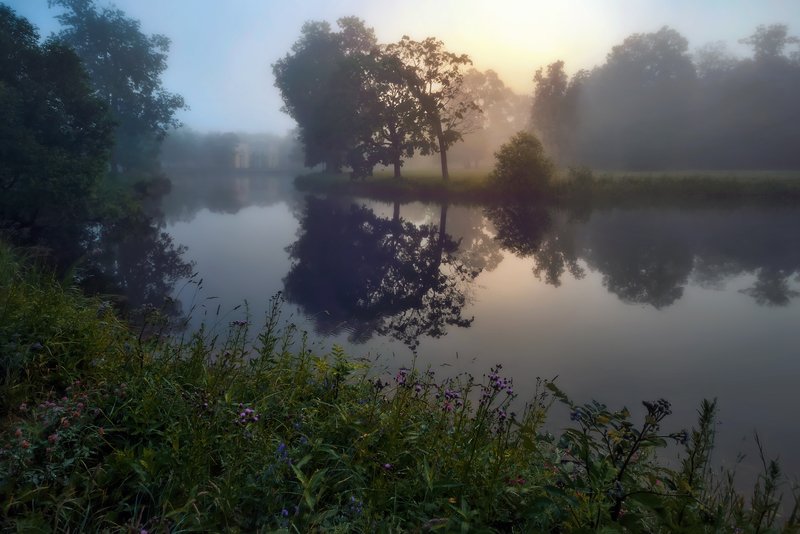 царскоесело, царское, питер Летом. . . фото превью