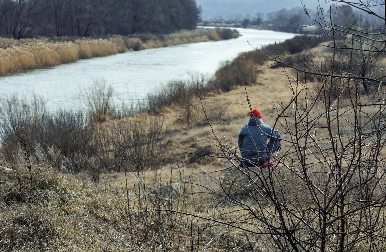 , Андрей Ляпин