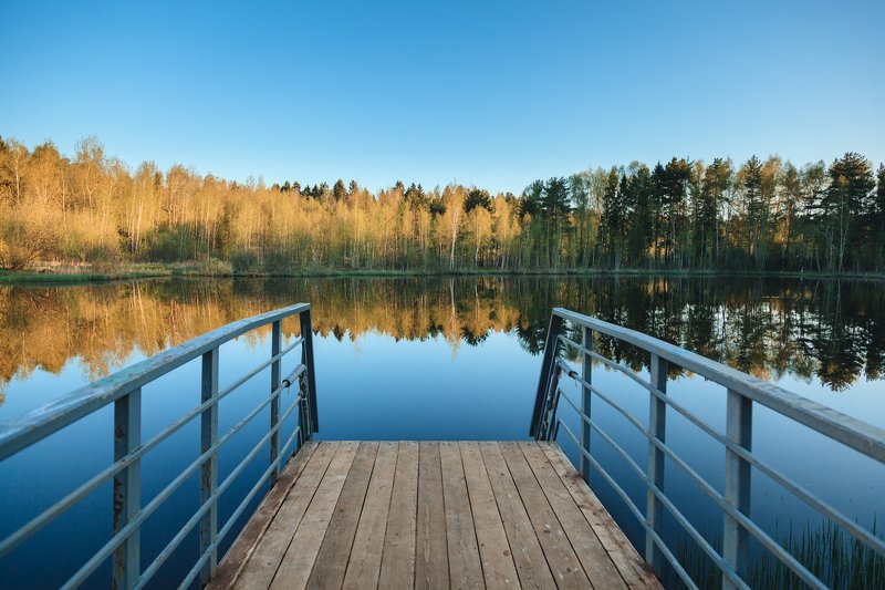Зеленоград Рассвет на озере фото превью