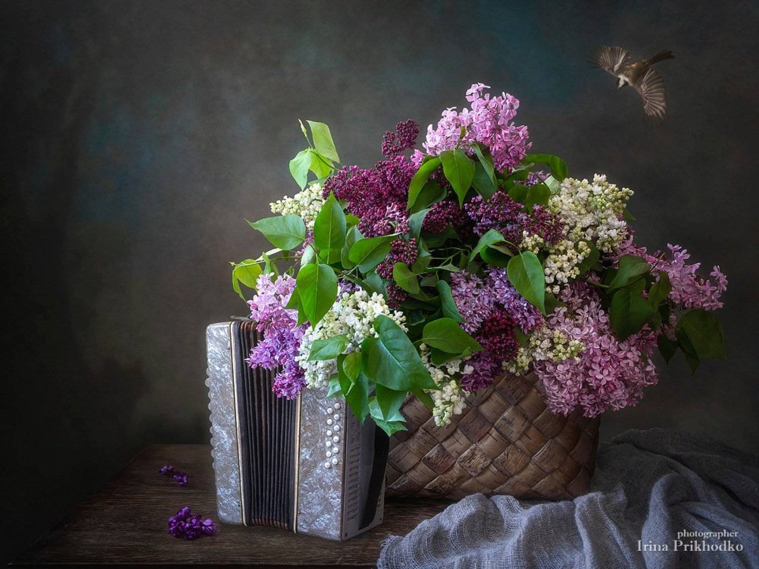 натюрморт, ретро, винтаж, художественная фотография, цветочный. майский, сирень, гармонь, Ирина Приходько