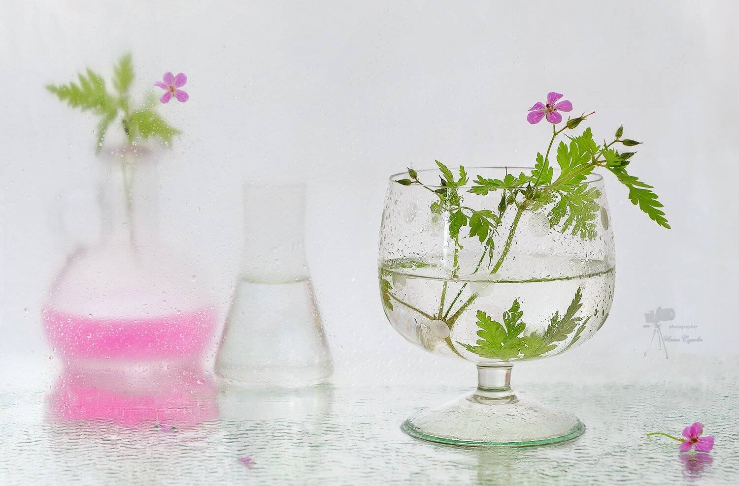 , Инна Сухова