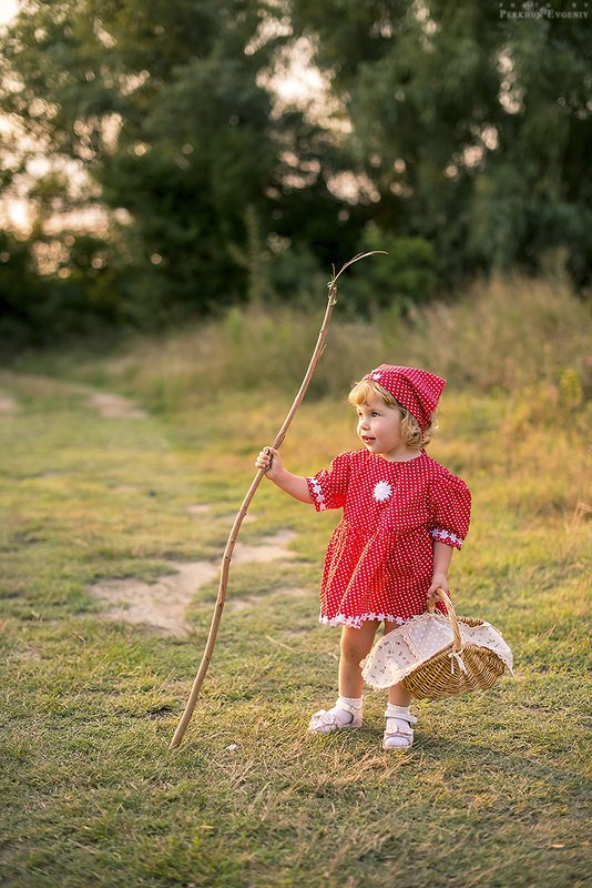 красная шапочка, девочка, волк, пес, собака, серый пес, серый волк, сказка, маргарита, дочка, поляна, лес, корзина, корзинка, история, маленькая девочка История про Красную Шапочку фото превью