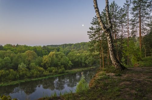 Майский рассвет