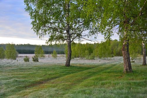 Русский пейзаж