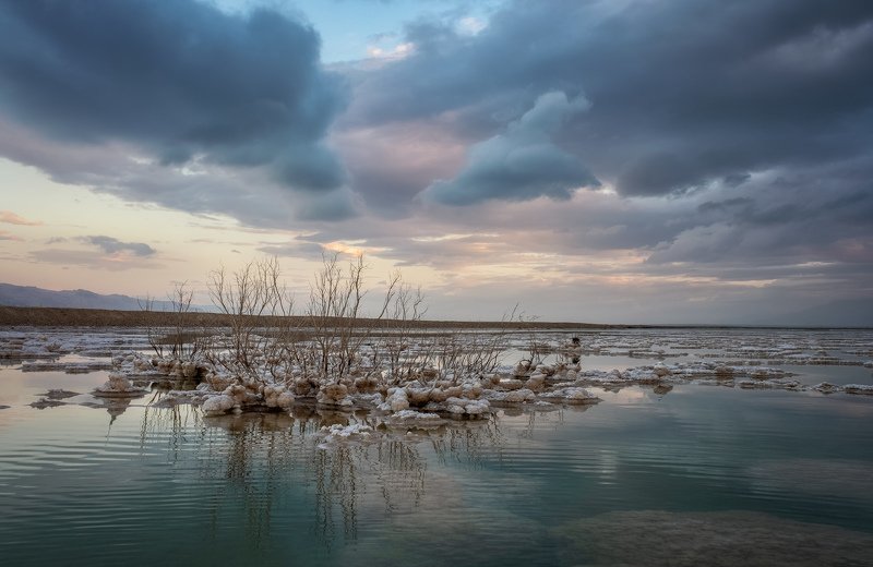 Live at the Dead Sea фото превью