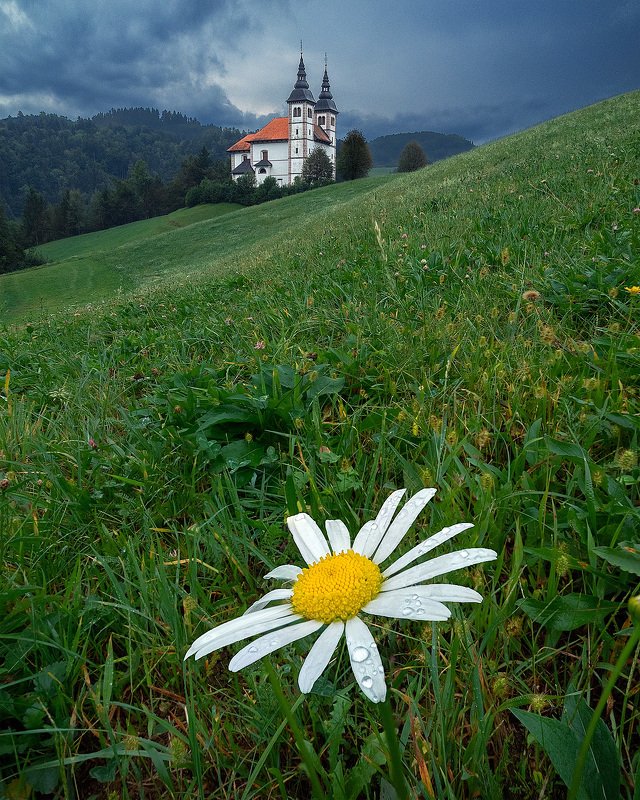 Словения фото превью