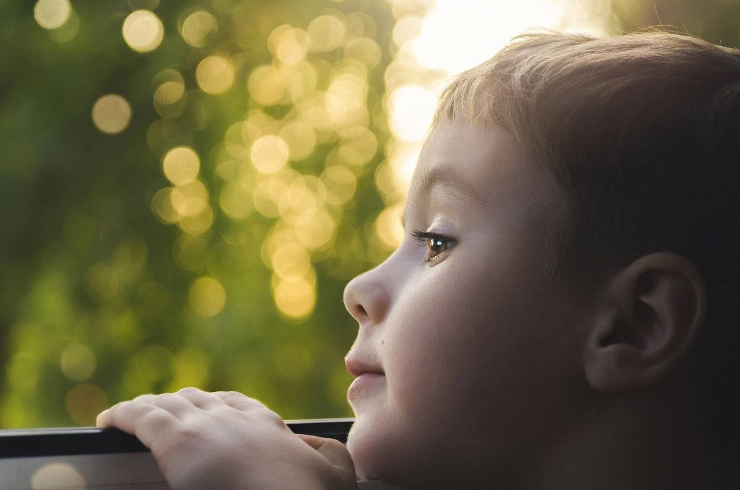 ребёнок,окно,вечер,бокэ,солнце,лето,взгляд, Владимир Володин