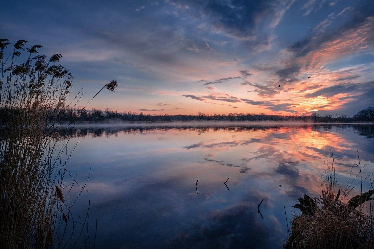 шатура, озеро, утро, рассвет, птицы, солнце, свет, небо, облака, туман, дымка, пейзаж, Андрей Чиж