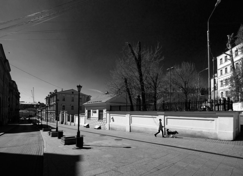 самоизоляция, карантин, пустой город, пустые улицы, прогулка с собакой, Москва, Солянка, Забелина Собака как пропуск фото превью