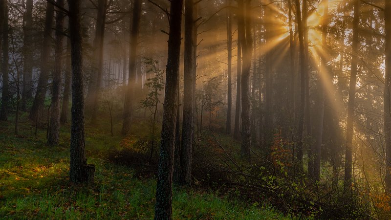 Nadjeziorna фото превью